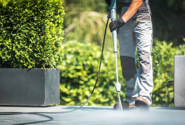 Best Fence Cleaning  in Nicholls, GA
